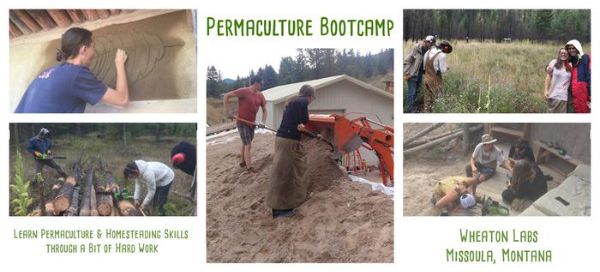People participating in permaculture and homesteading activities at Wheaton Labs.