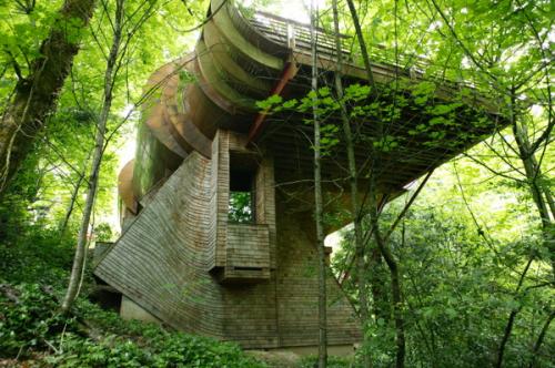 Unique treehouse with spiral staircase in lush green forest setting.