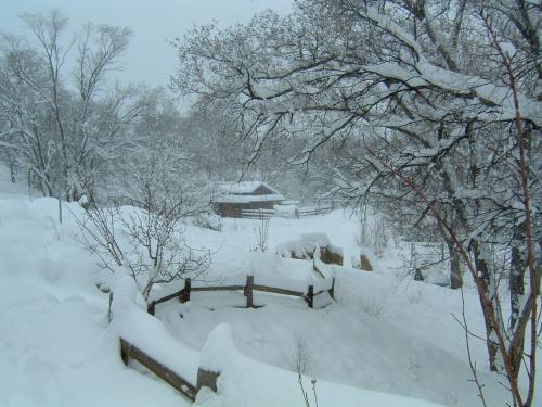 Snow-covered landscape with trees and a small wooden bridge in winter.