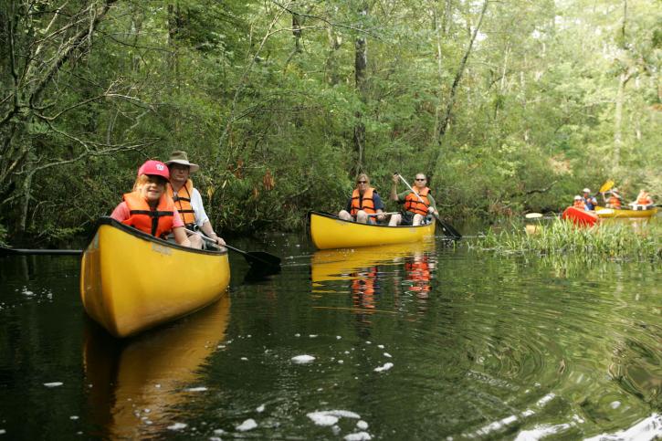 People kayaking on a calm river surrounded by lush green trees.