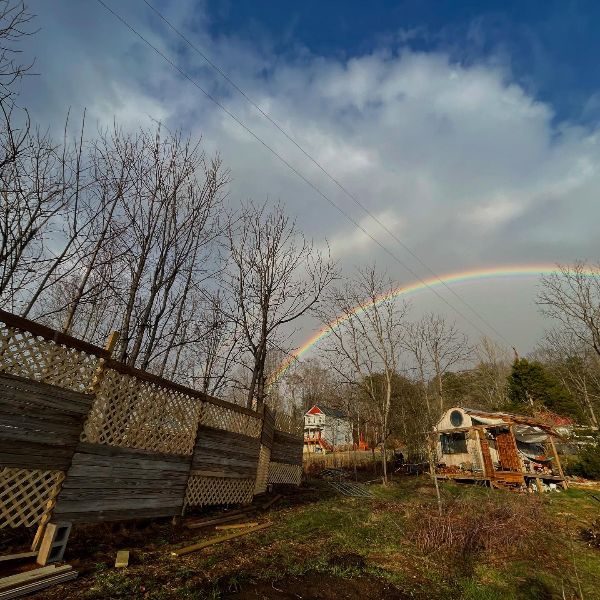 Scenic view of Herron Cove Community with rainbow and leafless trees.