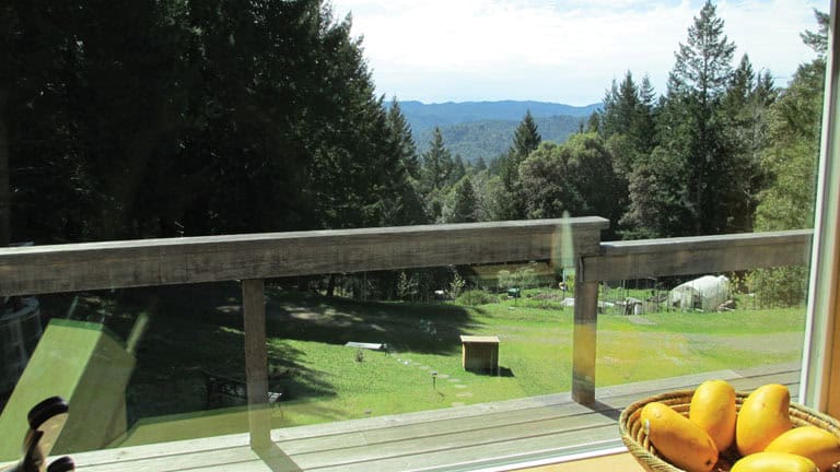 Scenic view of a lush green landscape with trees and distant hills from a balcony.