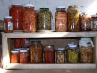 Assorted jars of fermented foods on a wooden shelf at the Foundation for Intentional Community.