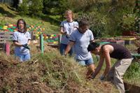 People planting trees at a community garden for environmental sustainability.