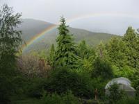 Scenic view of a rainbow over lush green forest and mountains.