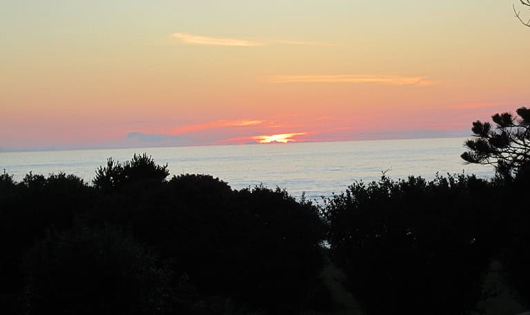 Sunset over the ocean with colorful sky and silhouetted trees in foreground.