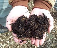 Person holding rich compost soil for sustainable gardening and community building.