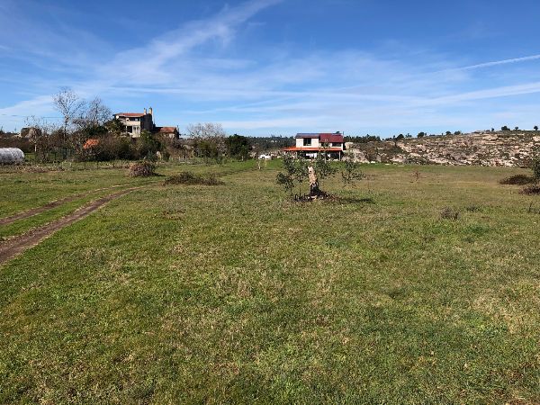 Open green field with houses and blue sky at Quinta Travancinha Ecovillage.