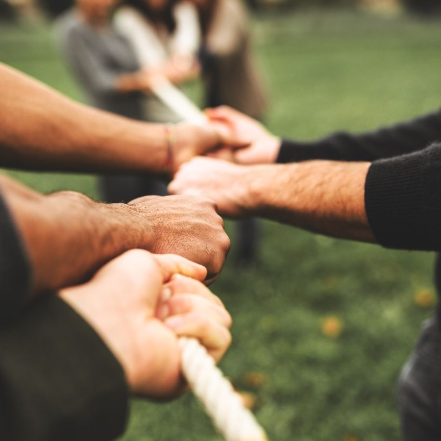 People holding a rope in a team-building outdoor activity.