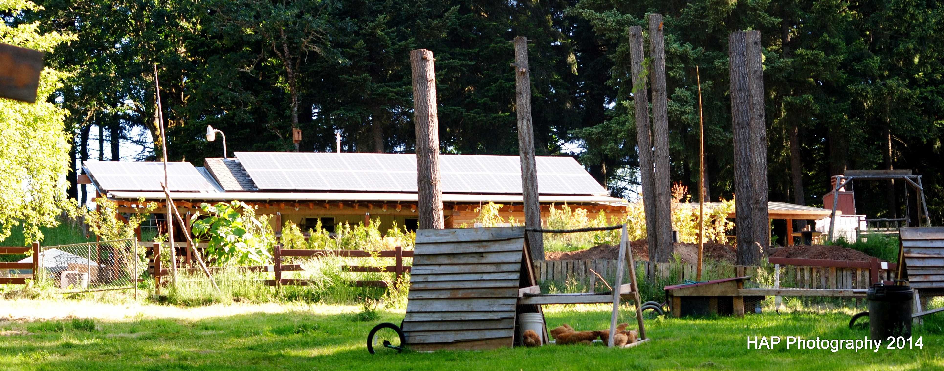 Rural farm with wooden structures and solar panels in a green setting.
