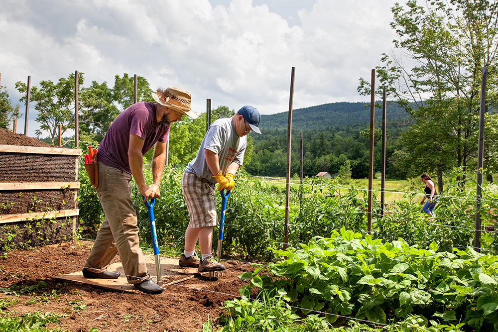 People working in a community garden at Plowshare Farm with lush greenery and mountains in the背景.