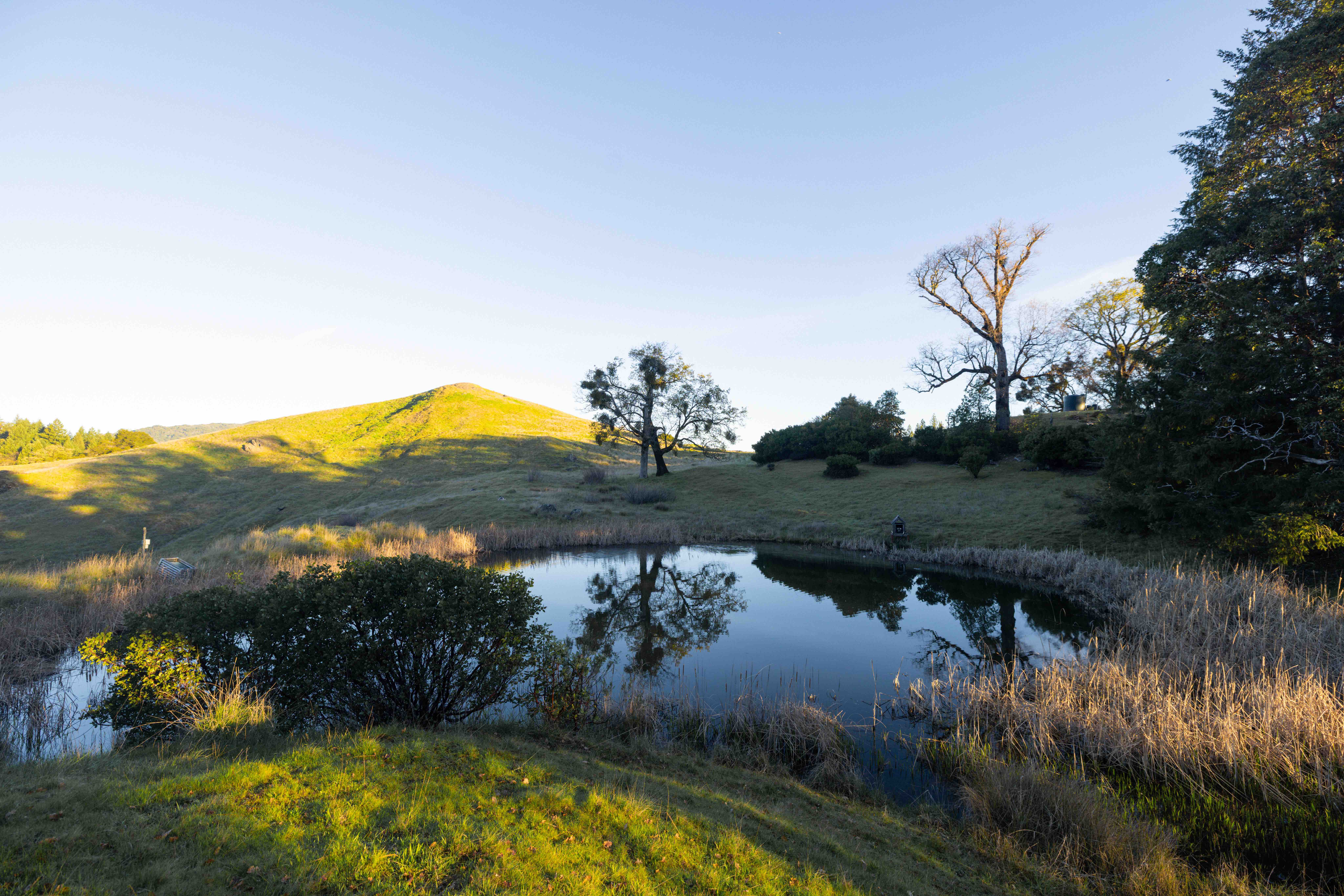 Peaceful eco-village with pond, trees, and rolling hills.
