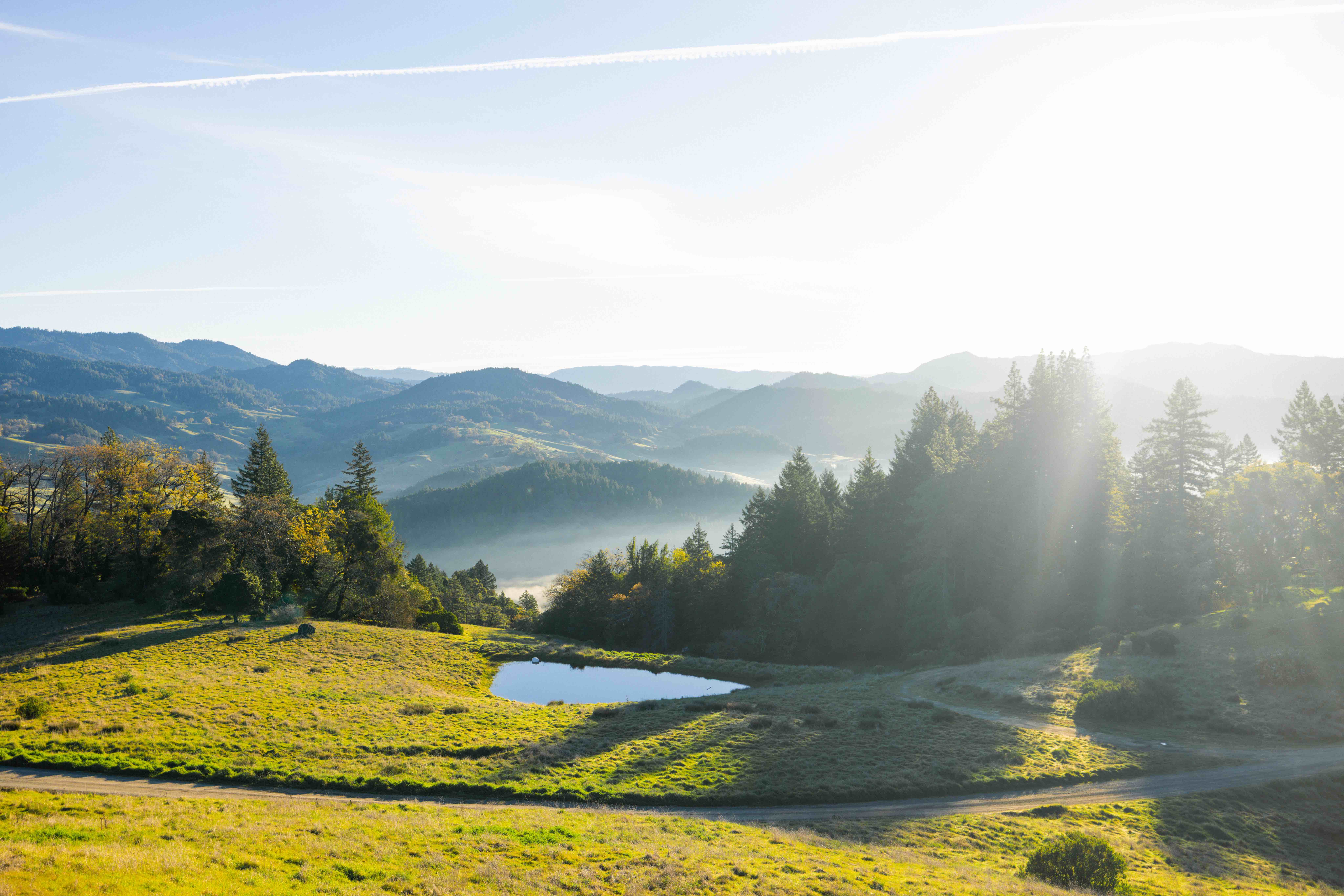 Beautiful eco-village landscape with rolling hills and sunlight.