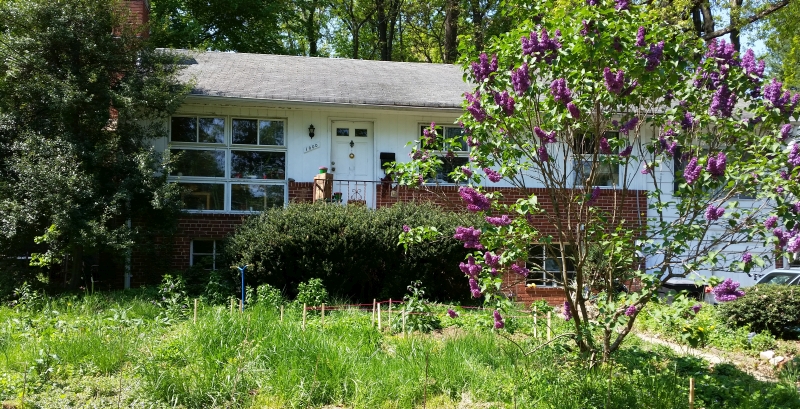Residential house with garden and flowering trees in a community setting.