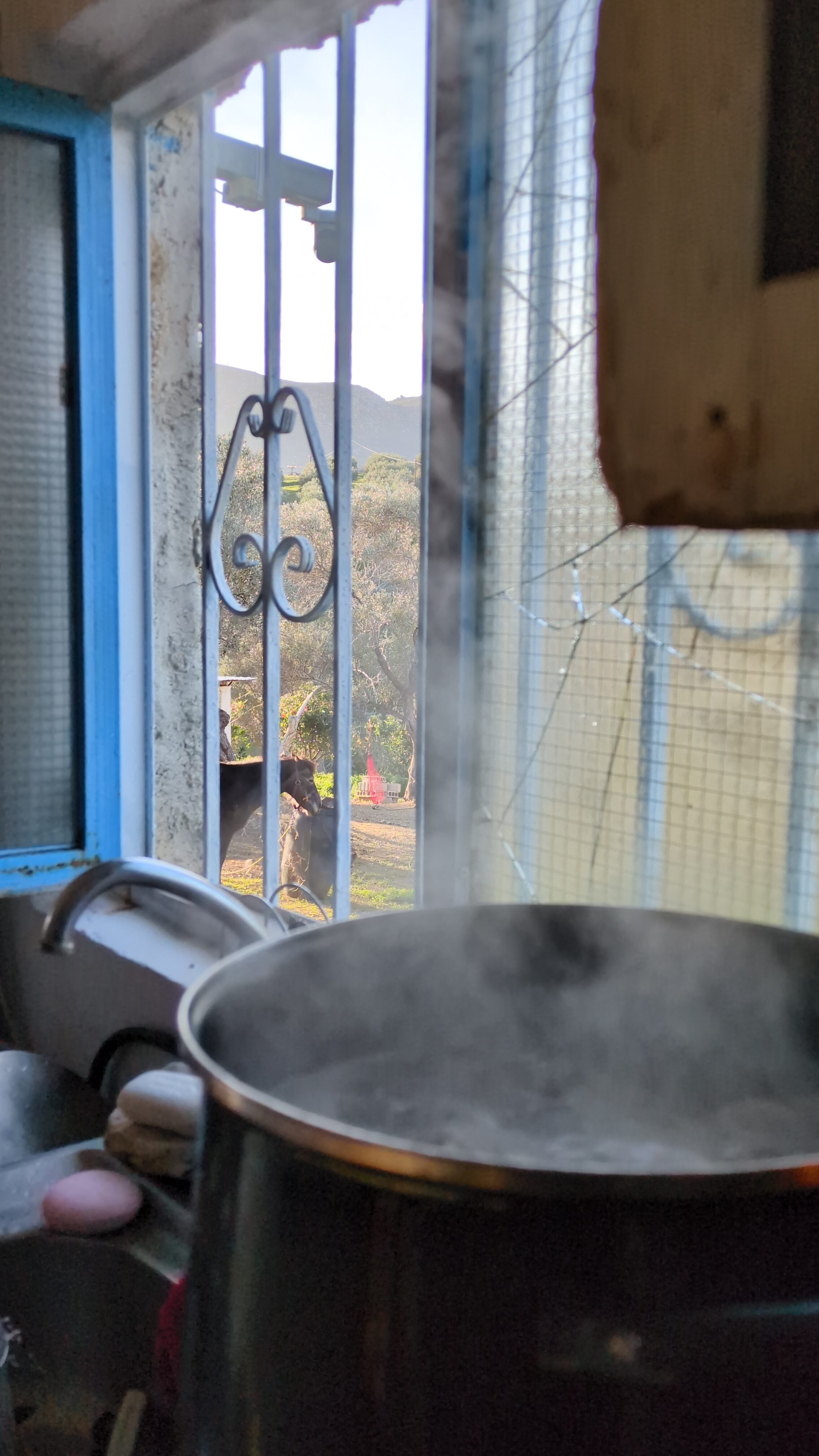 View through a kitchen window with a steaming pot on the stove.