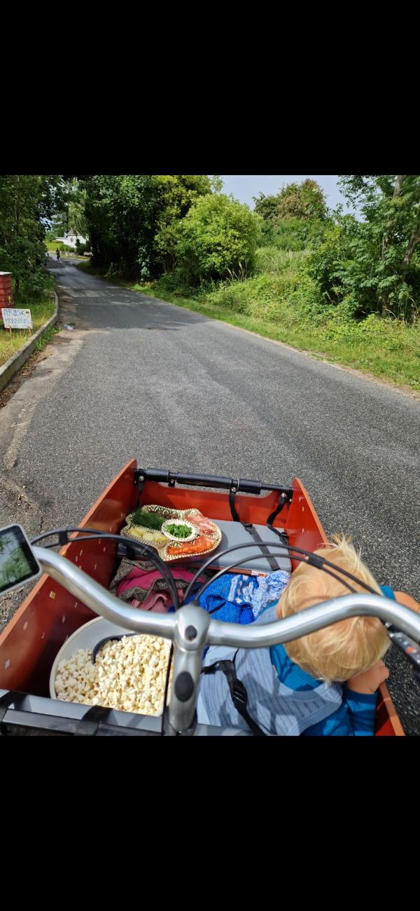 View from a bicycle on a rural road surrounded by greenery and trees.