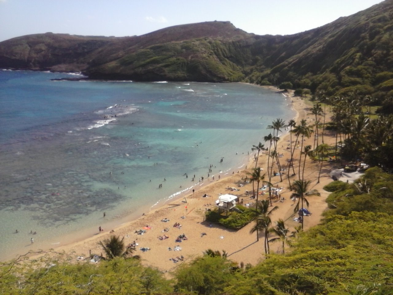 Beautiful beach with clear waters, palm trees, and mountain backdrop in Hanauma Bay.