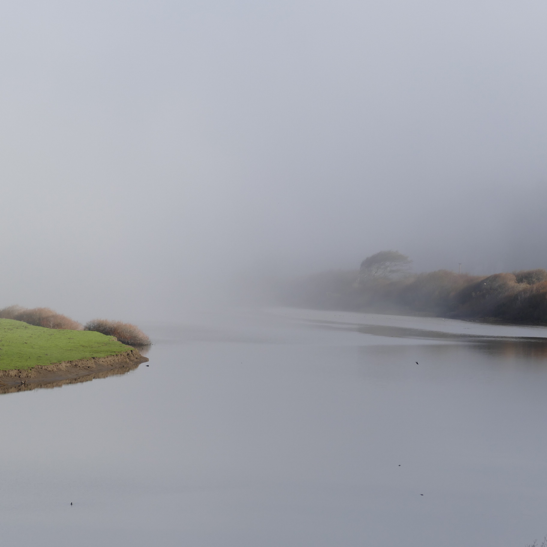 Calm river with mist and fog over lush green banks.
