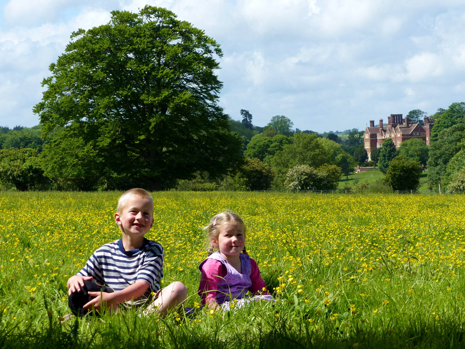 Children enjoying a sunny day in a community field with a large tree and historic building in the背景.