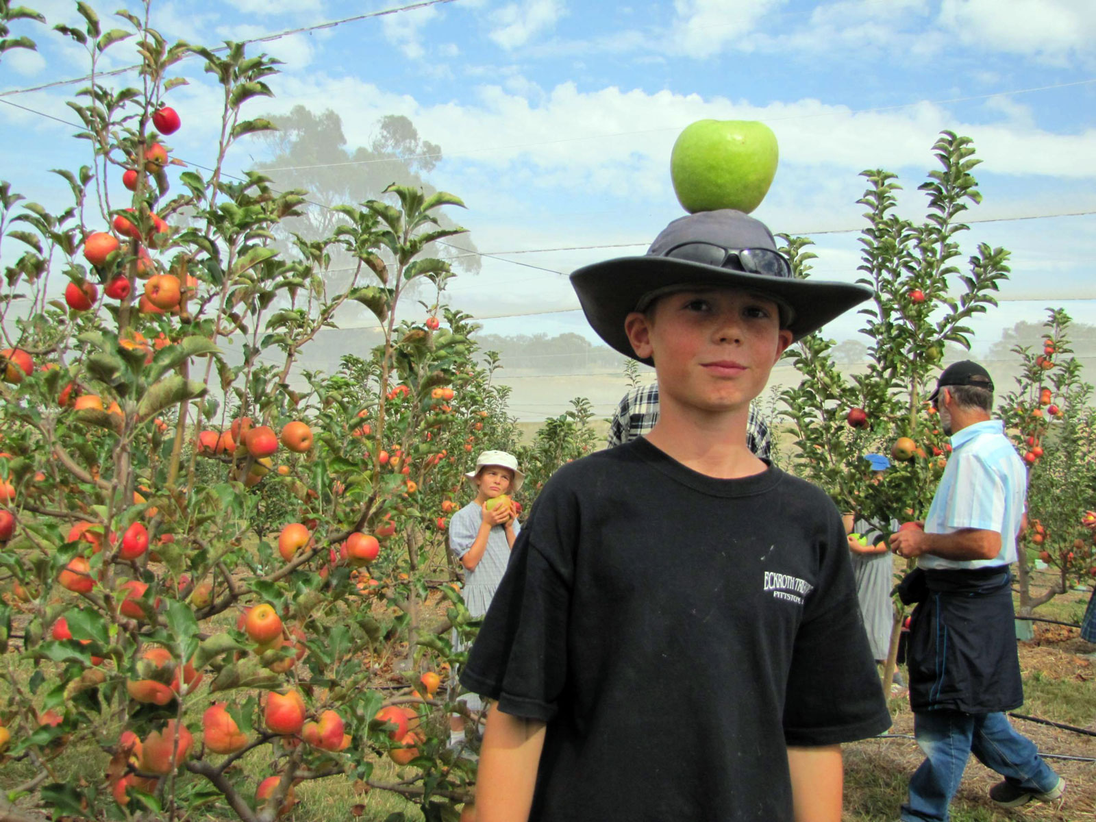 Young person balancing an apple on a hat in an orchard.