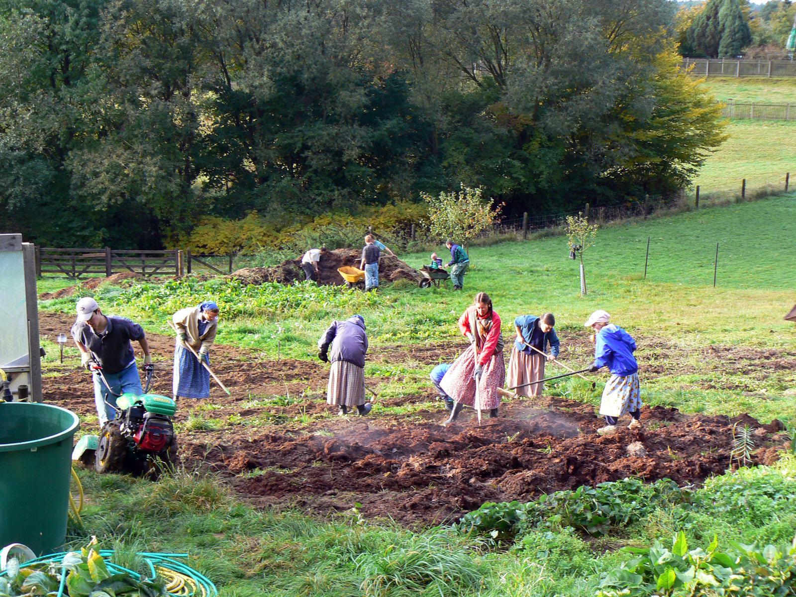 People working together on a farm in a community setting.