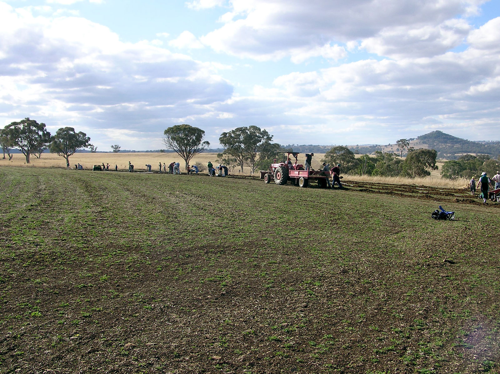 People working on a farm with a tractor and trees in the background.