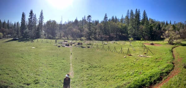 People gathered in a lush green field with trees in the background.