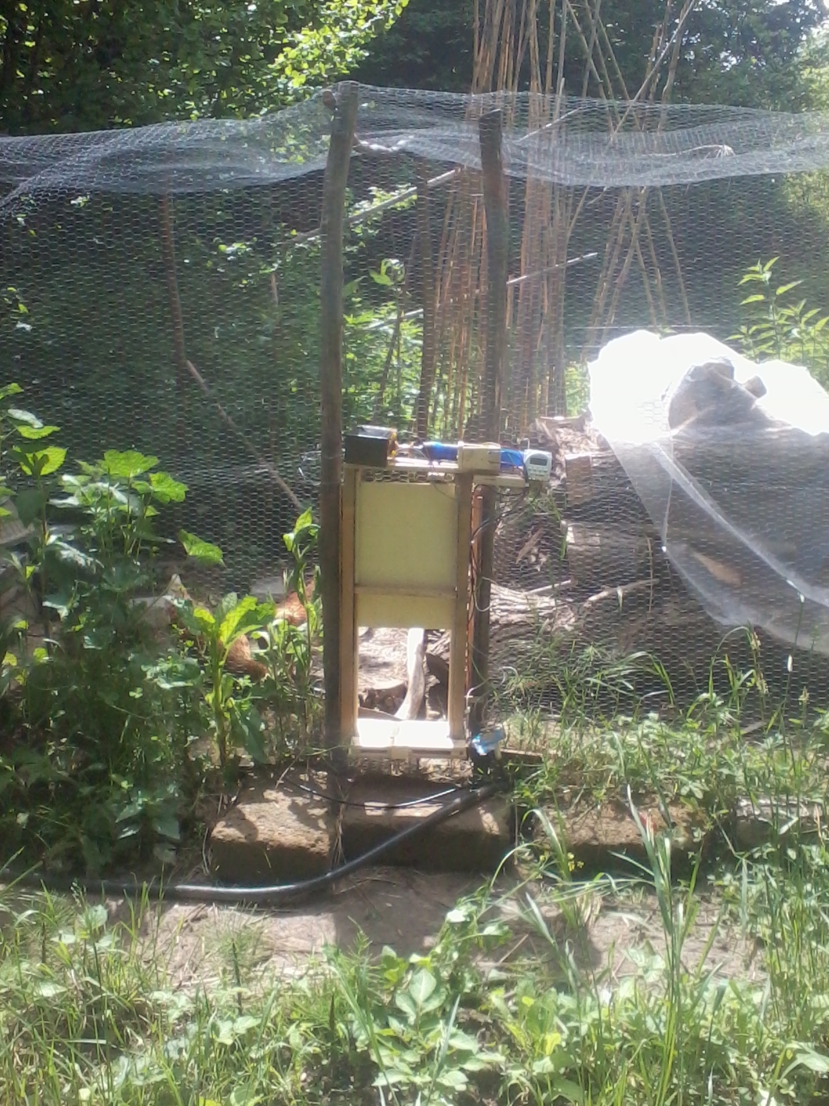 Handmade chicken coop with mesh fencing in a lush garden setting.