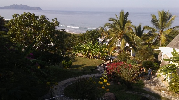 Tropical garden with palm trees and ocean view at Litibu EcoVillage.