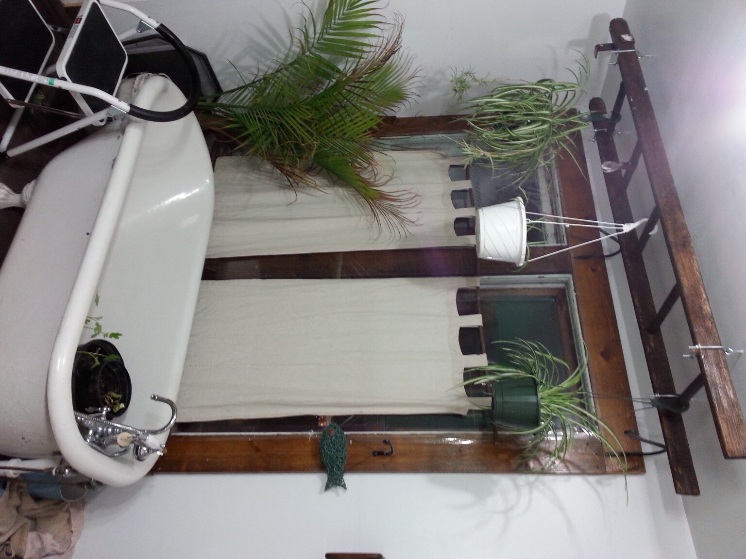 Indoor plant display with bike, railing, and potted plants in a cozy space.