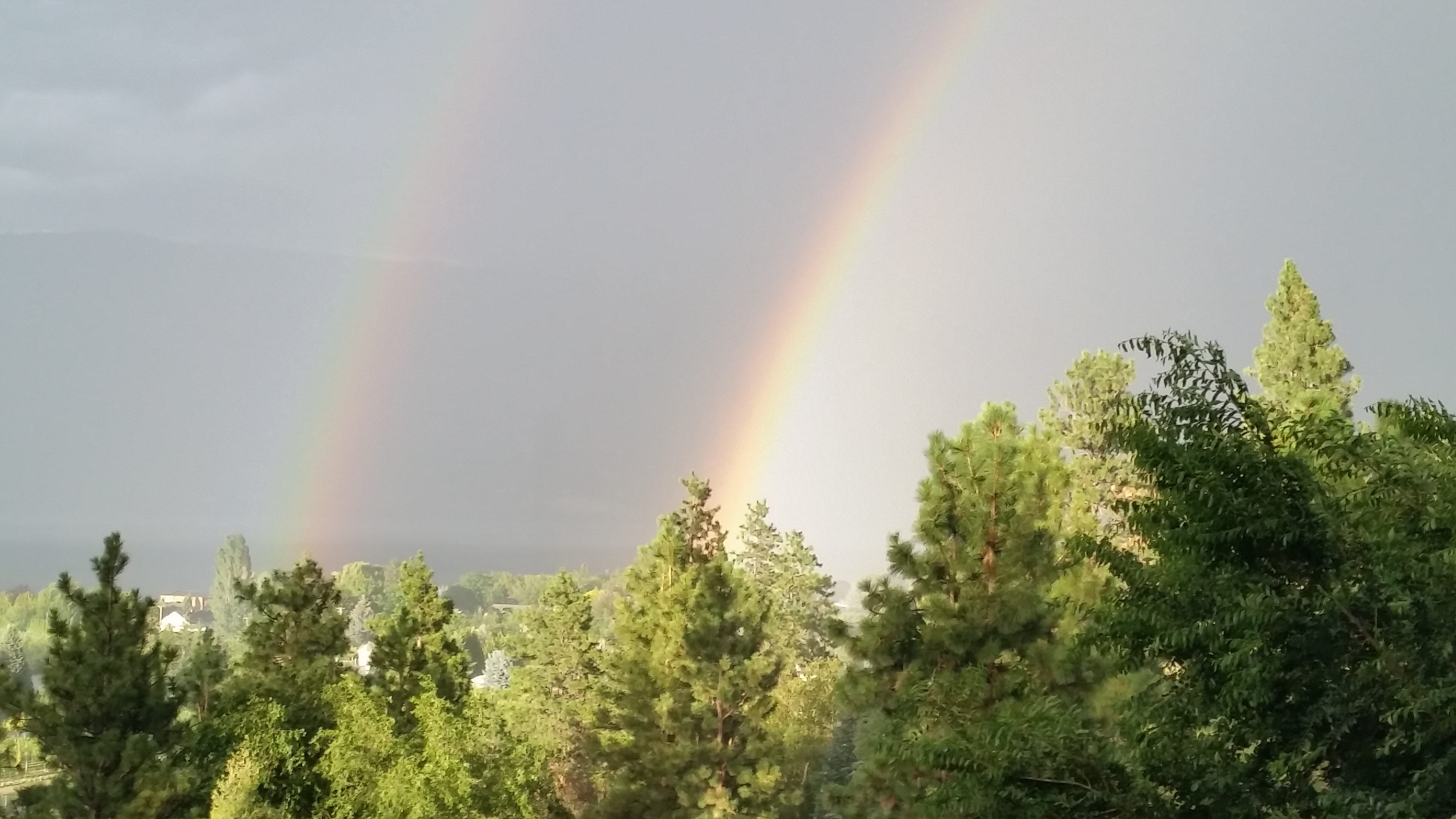 Double rainbow over lush green trees and open sky.