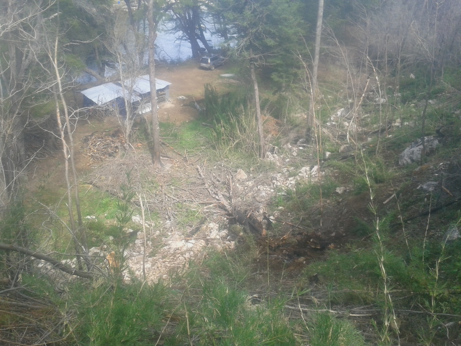 Natural landscape with trees and tents at Foundation for Intentional Community.