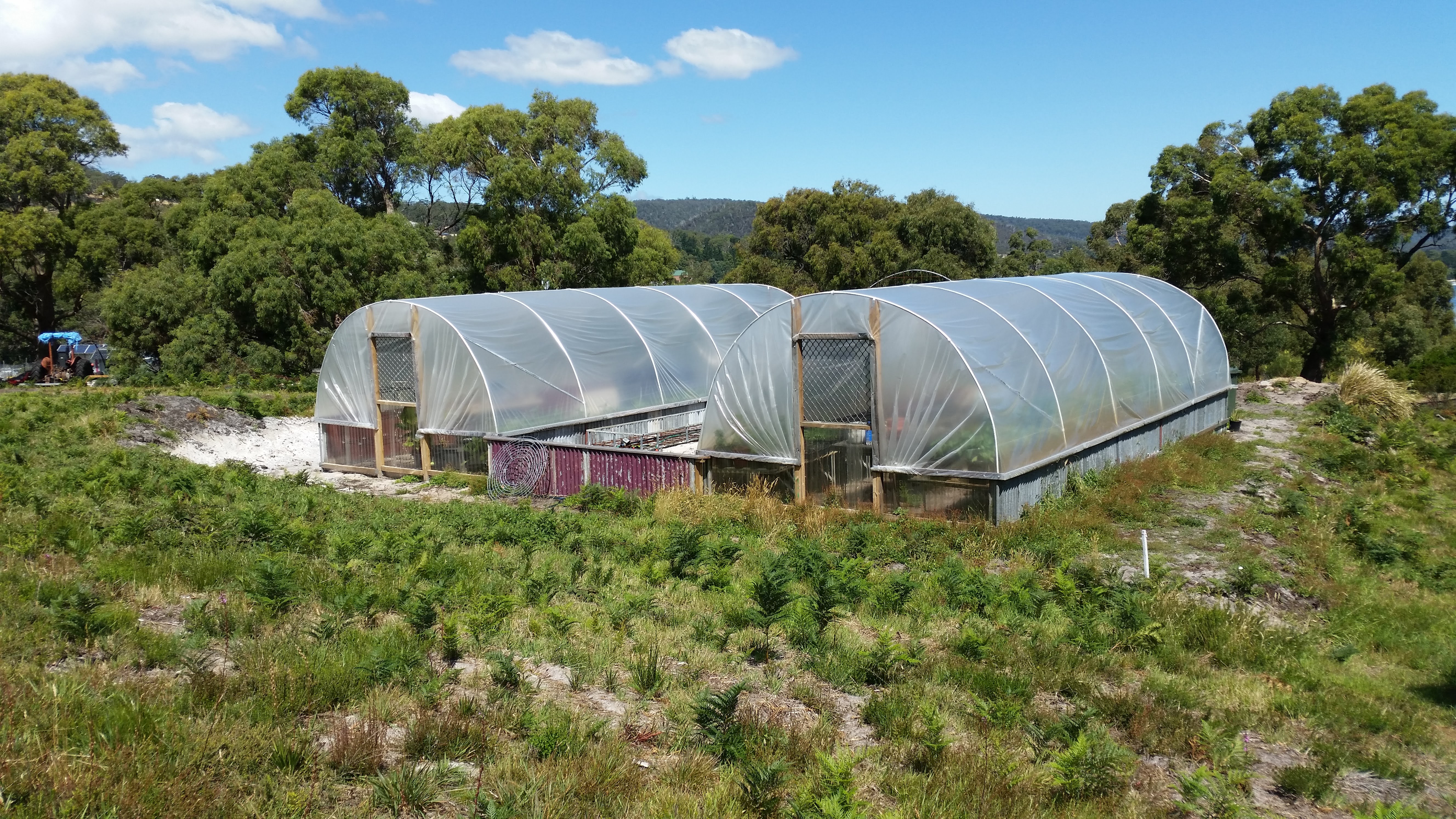 Two large transparent greenhouses in a rural community setting with trees and hills.