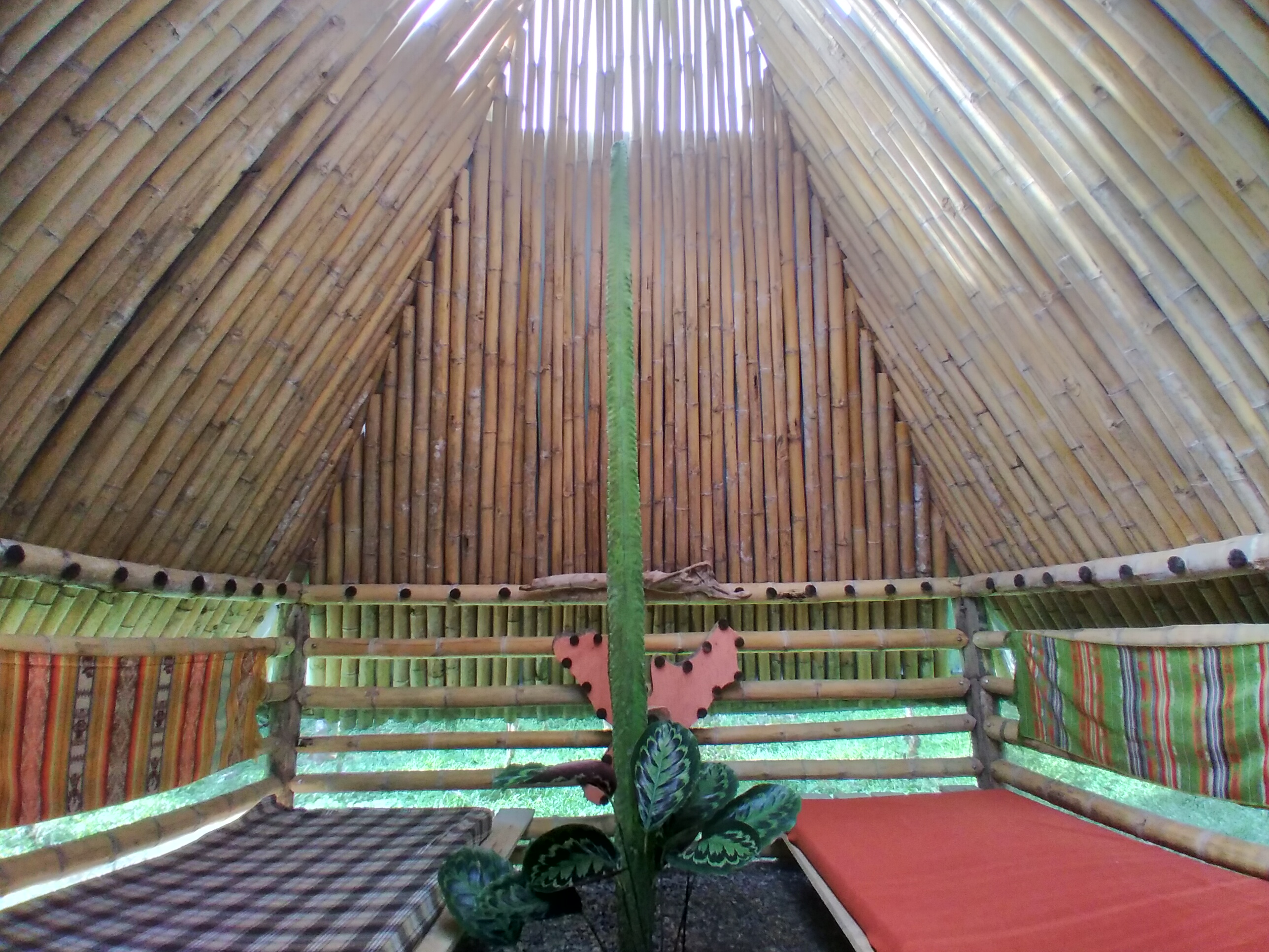Interior view of a bamboo yurt with colorful cushions and plants.