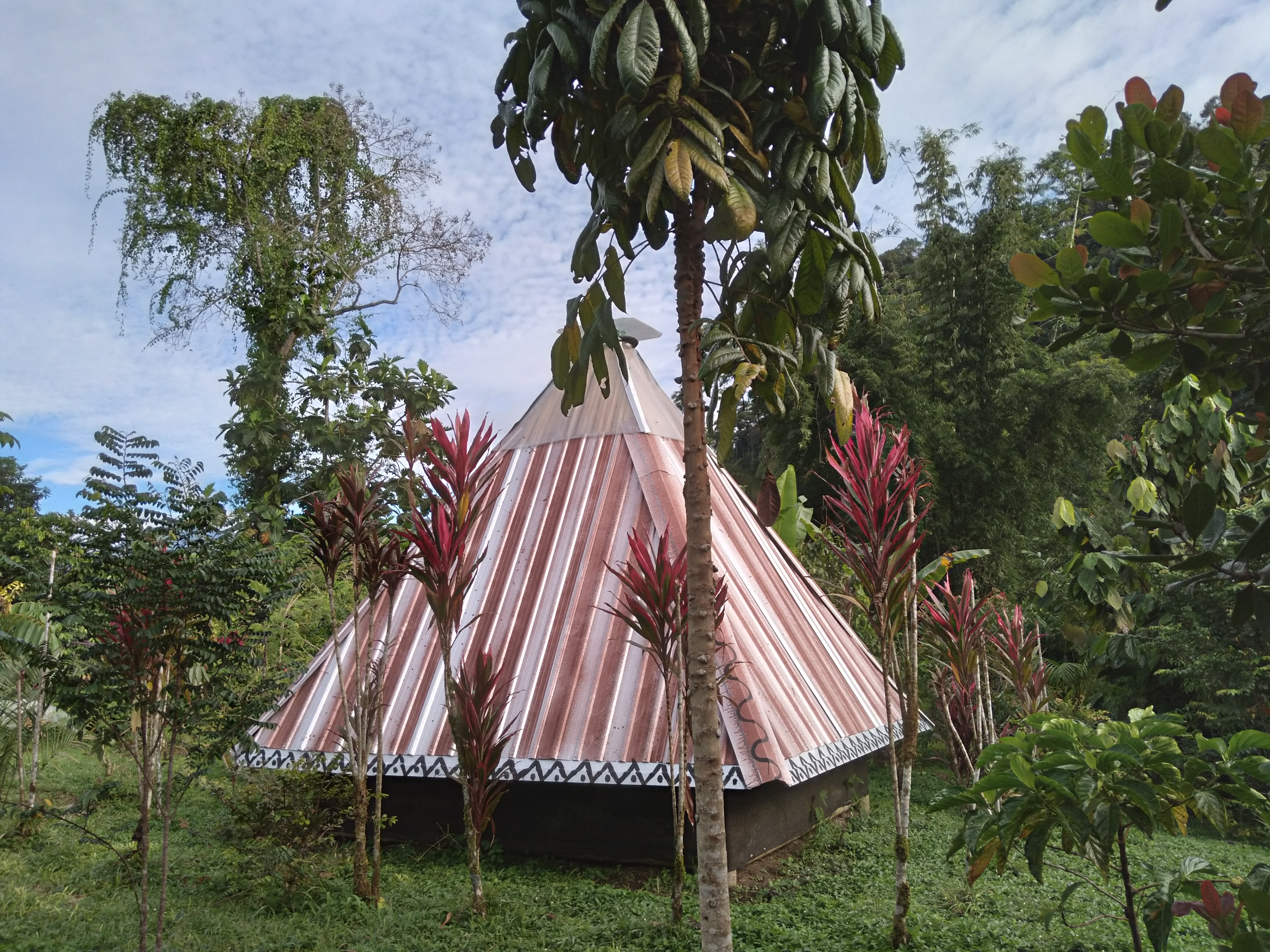 Eco-friendly tent surrounded by tropical plants at intentional community.