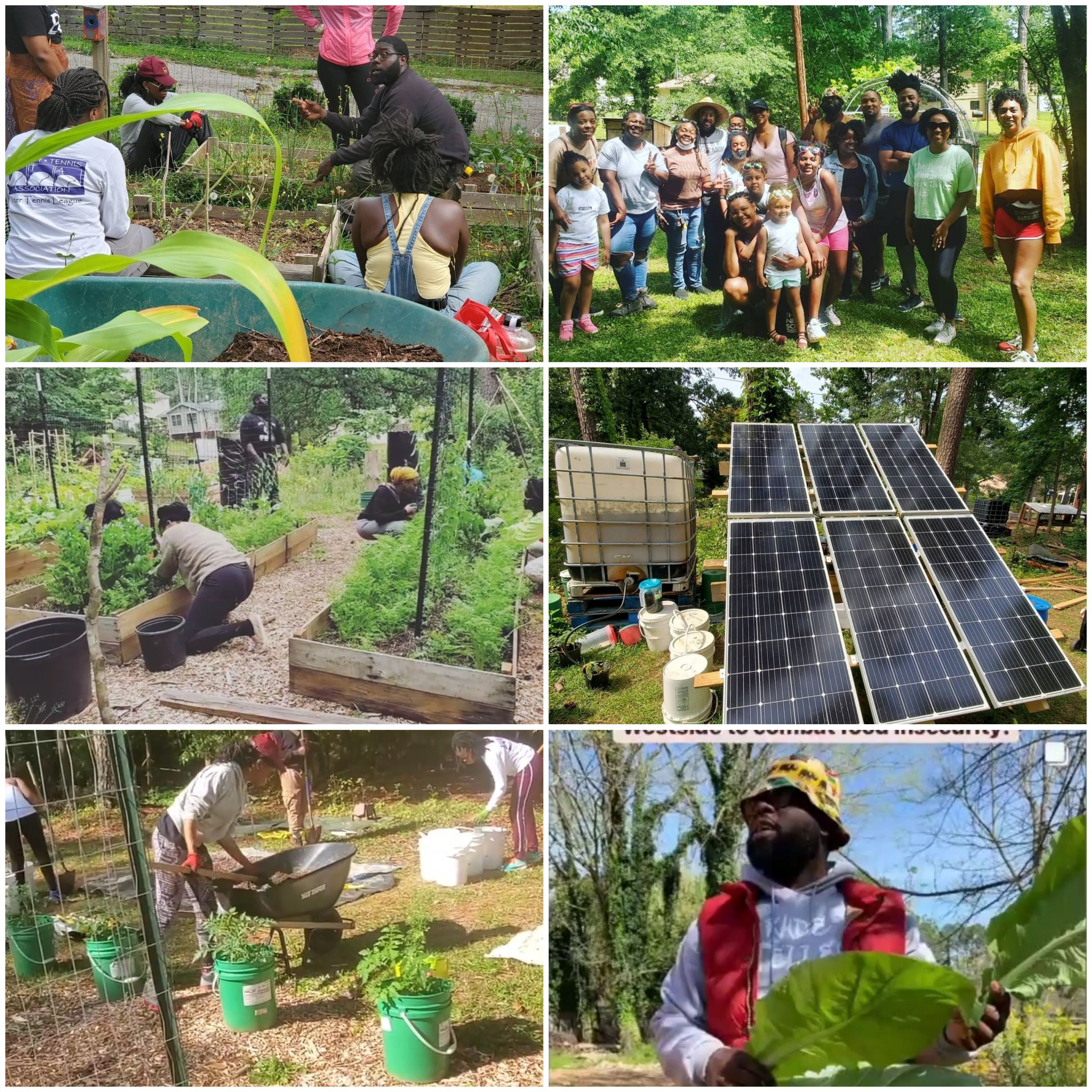 Group of people working in community garden with solar panels in background.