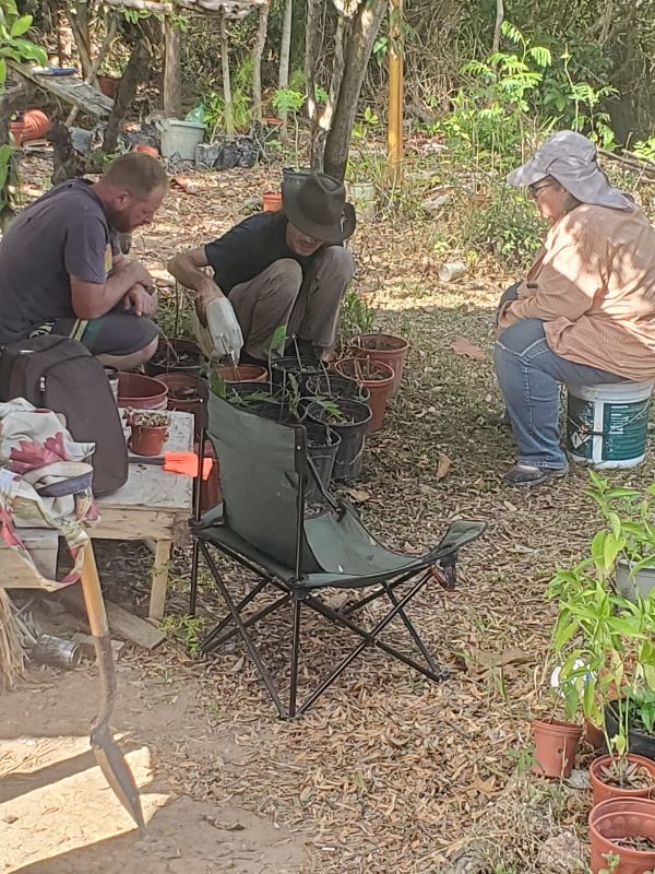 People planting seedlings in a community garden at 8thLife Panama EcoVillage.
