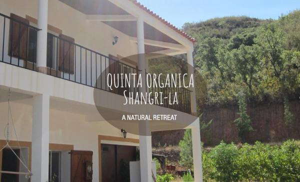 View of Quinta Shangri-La eco-friendly retreat with lush greenery and hillside backdrop.