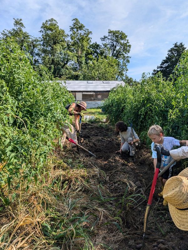 People working together in a community garden at Sandhill Farm.