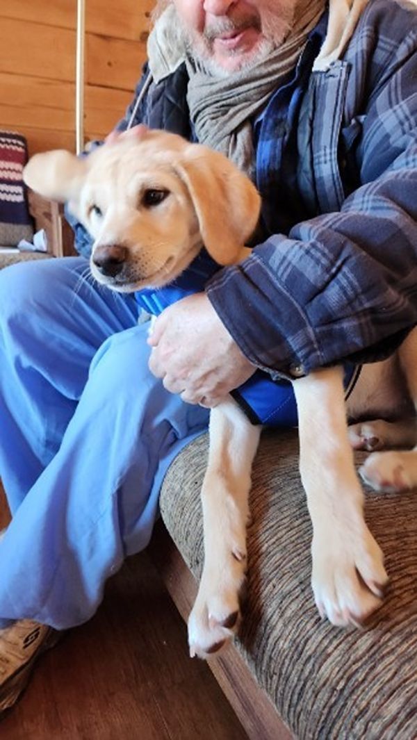 Man holding a cute puppy with a blue collar indoors.