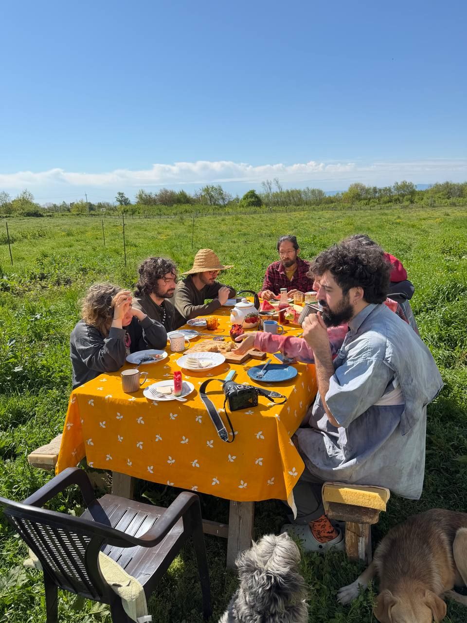 People enjoying outdoor meal at Ecovillage Georgia in a green field.