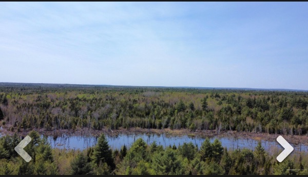 Scenic view of Maine off grid homesteading land with pond and forest.