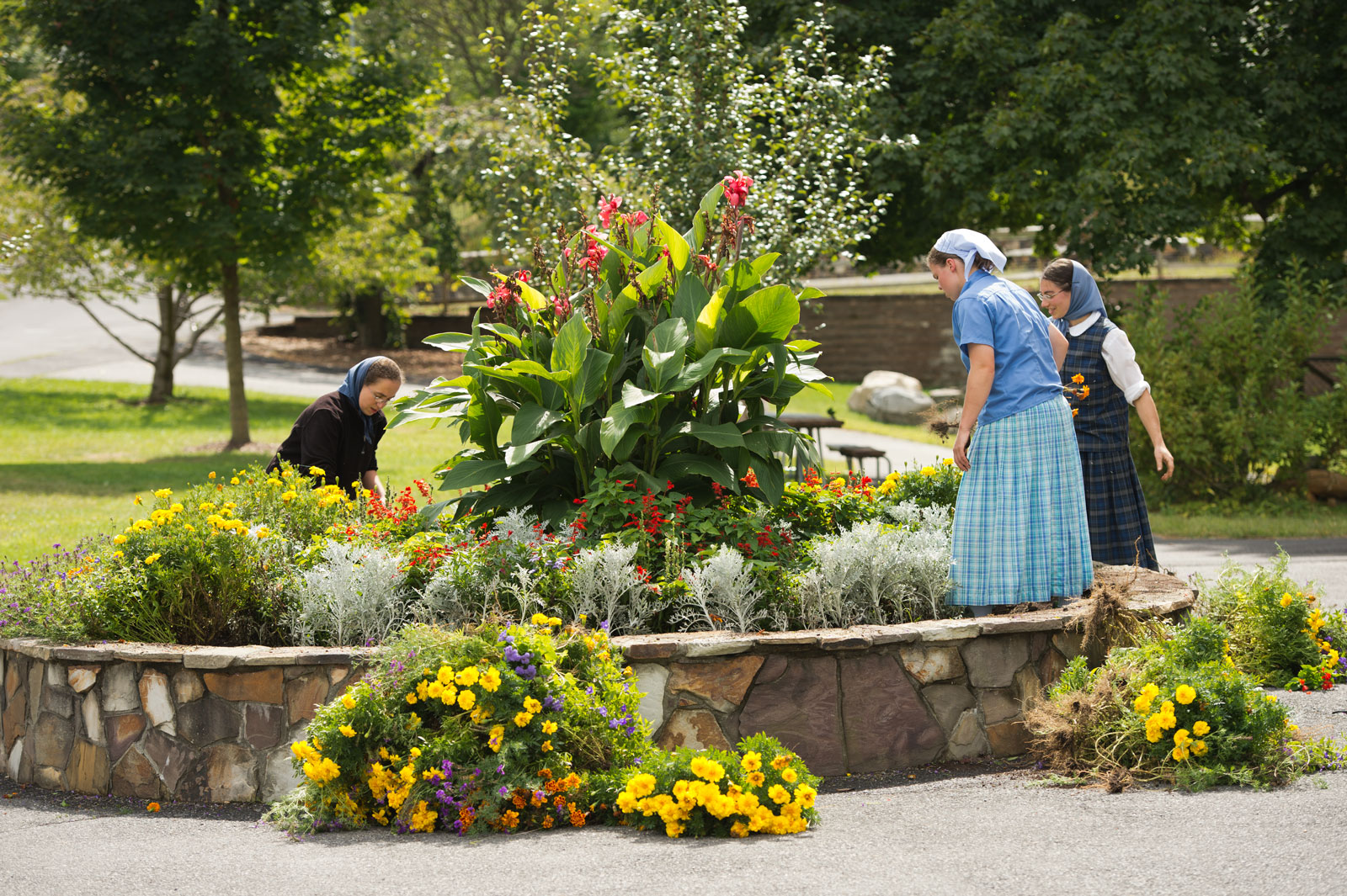 People working in a vibrant community garden with colorful flowers and lush greenery.
