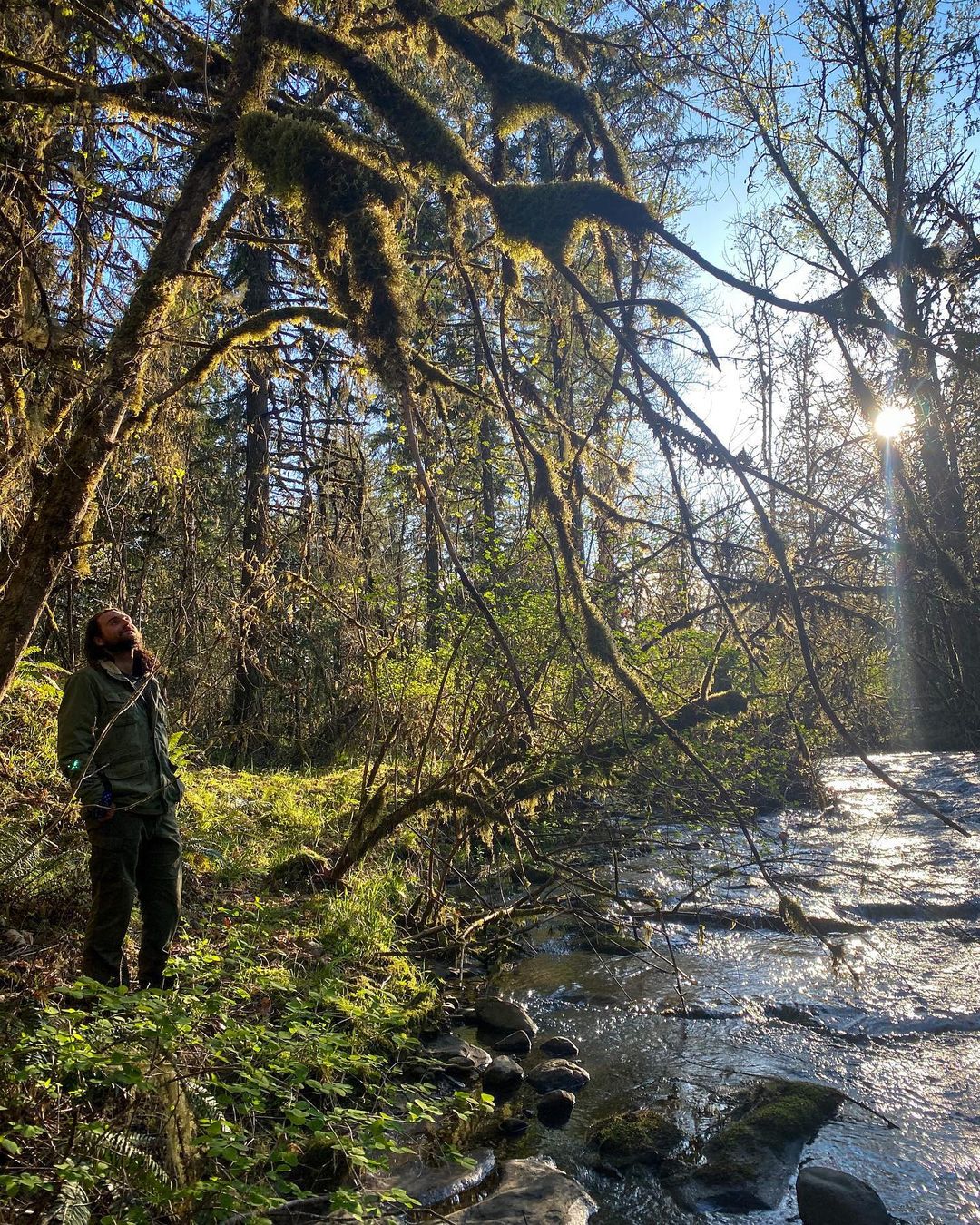 Person exploring lush forest near a flowing river at Lost Valley Educational Center.