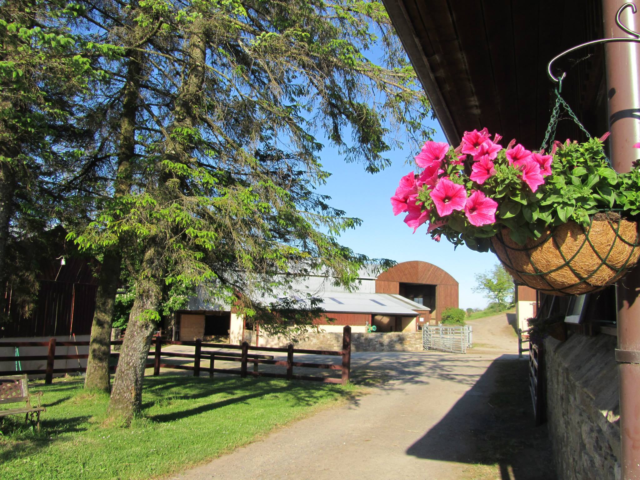 Scenic view of Clanabogan Camphill Community with trees and buildings.