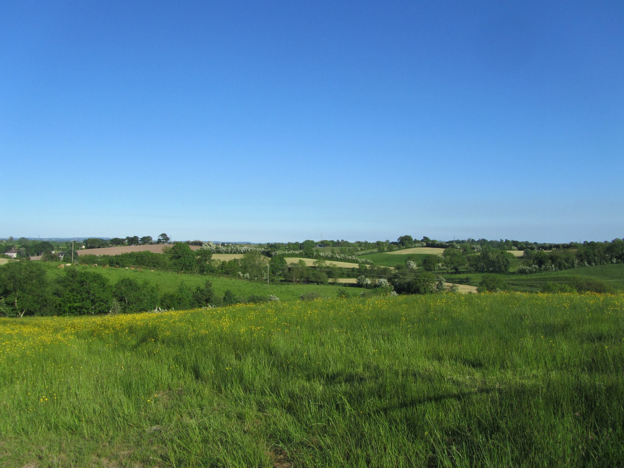 Beautiful rural landscape with green fields and blue sky.