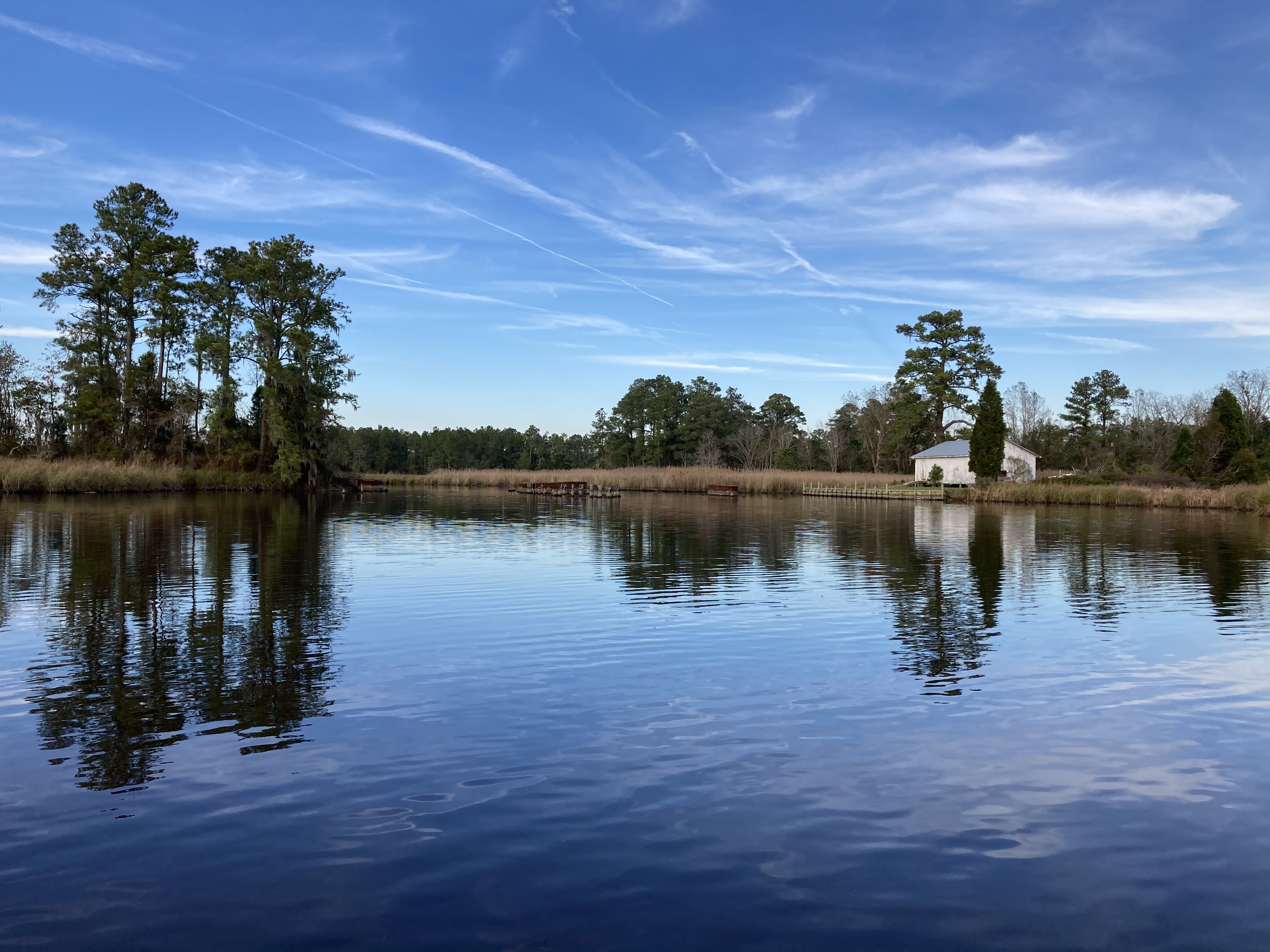 Scenic view of a lake at Aurora eco village with trees and blue sky.
