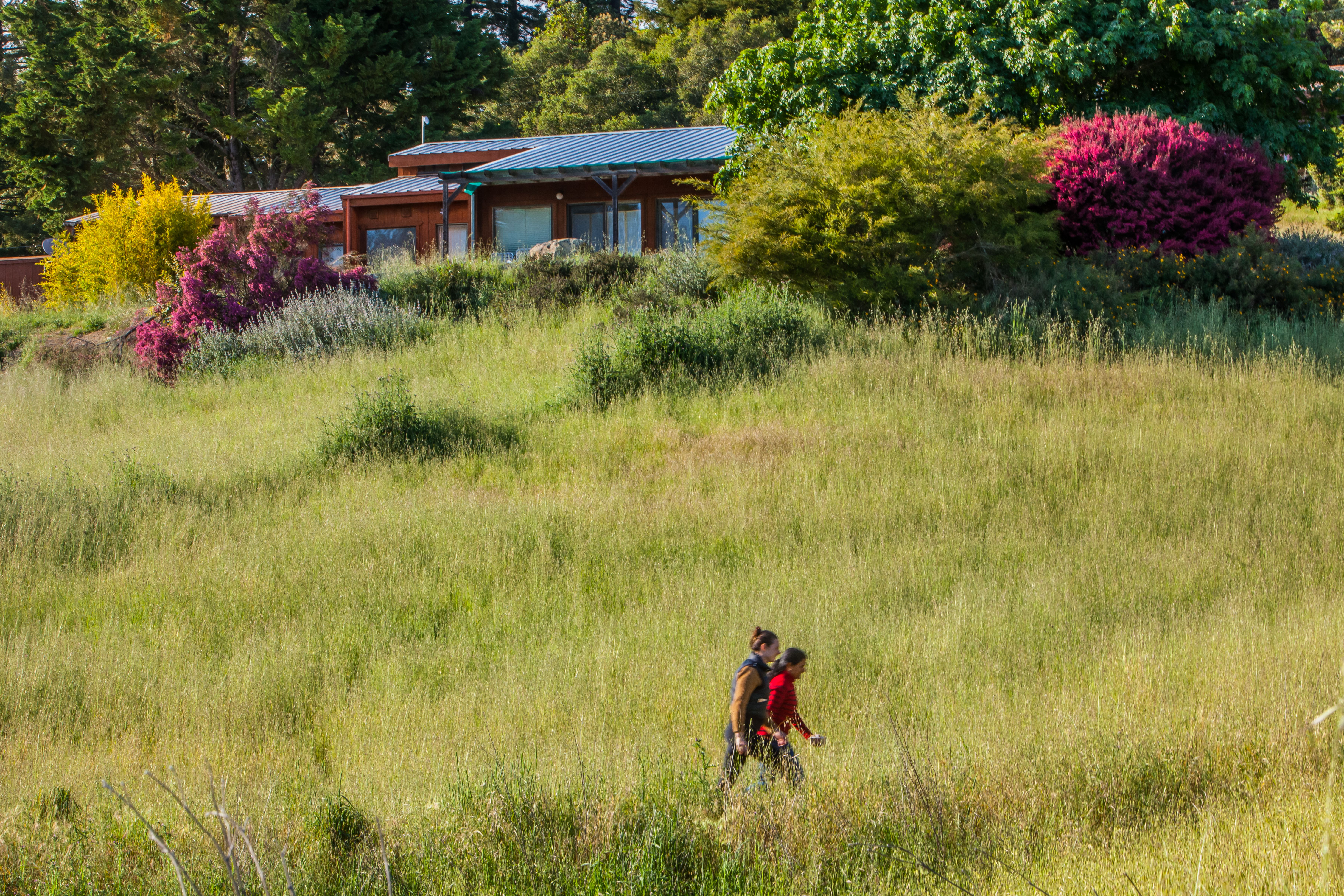 Scenic view of Mount Madonna Center with lush greenery and two people walking in the field.