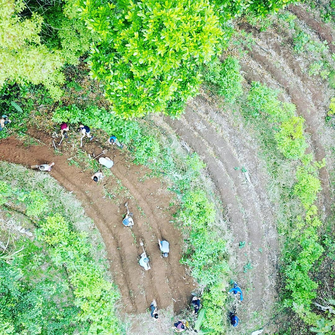 People working on a farm in a lush green environment at Rancho Mastatal.