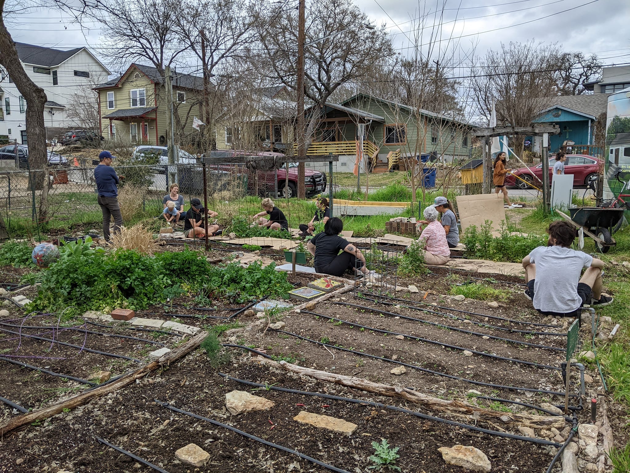 People working together in a community garden with raised beds and trees in the background.